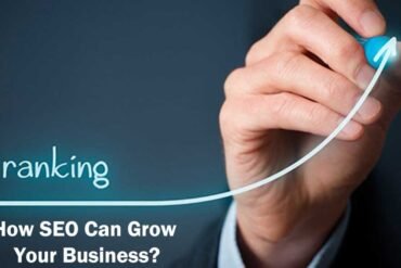 How SEO Can Grow Your Business?